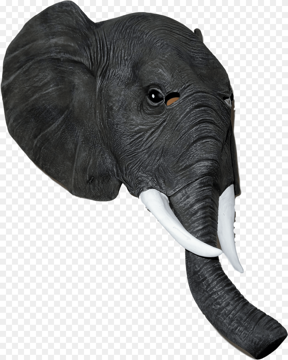 Transparent Robin Mask Elephant Mask, Animal, Mammal, Wildlife Png Image
