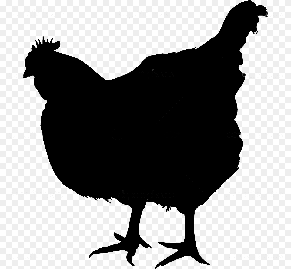 Transparent Rooster Silhouette Chicken Silhouette With No Background, Animal, Bird, Fowl, Hen Png
