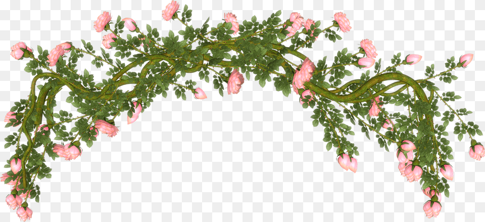 Transparent Rosas Blancas Rama Flower, Arch, Architecture, Plant, Pattern Free Png Download