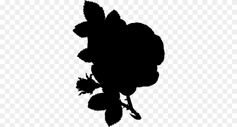 Rose Art Cartoon, Silhouette, Baby, Person, Stencil Free Transparent Png