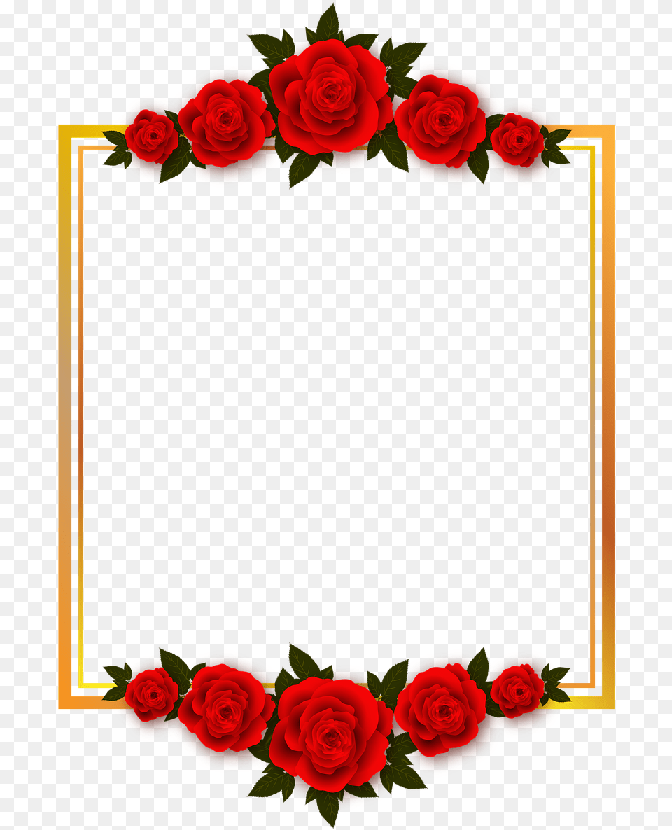 Transparent Rose Border Clipart Flower Frame Hd, Plant Png Image