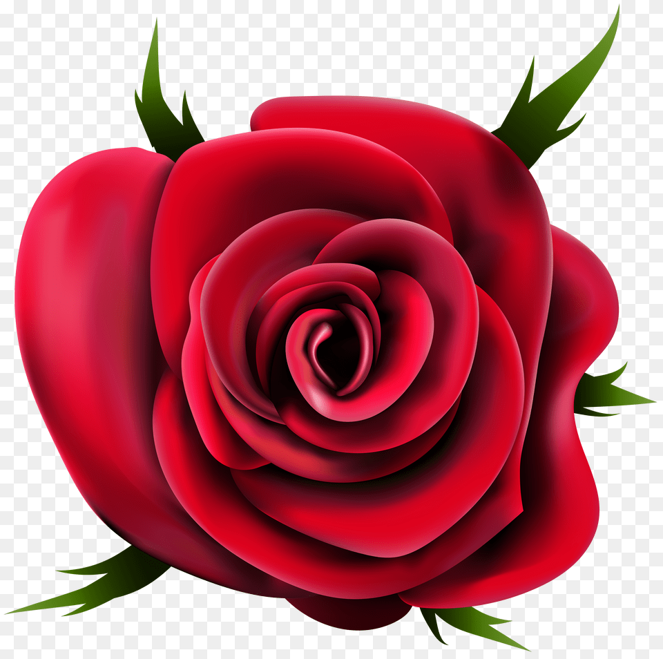 Transparent Rose Clip Png Image
