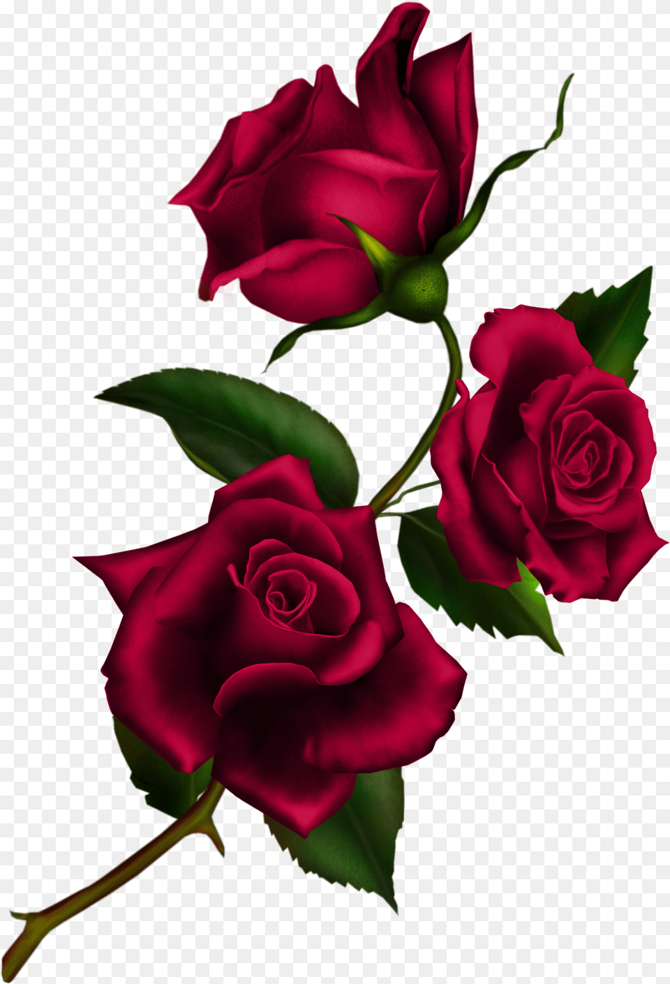 Transparent Rose Clip Art Rose With Stem, Flower, Plant, Flower Arrangement, Flower Bouquet Png