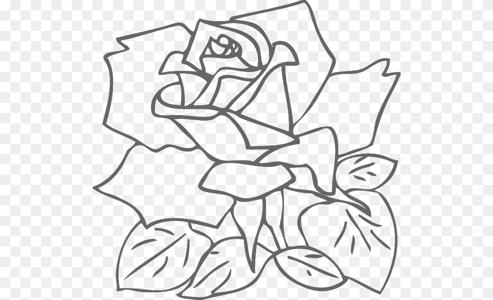 Transparent Rose Clipart Black And White White Rose Outline, Art, Drawing, Leaf, Plant Png