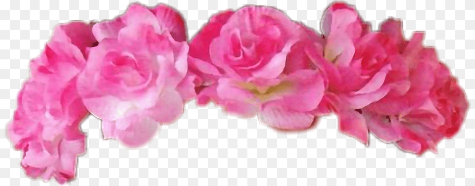 Rose Crown Artificial Flower, Flower Arrangement, Petal, Plant, Accessories Free Transparent Png