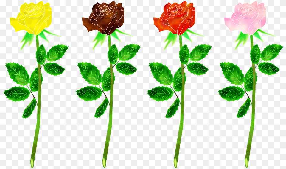 Transparent Rose Leaf Pimpollo De Rosas, Flower, Petal, Plant, Green Free Png Download