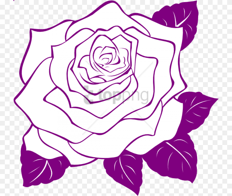 Rose Outline, Flower, Plant, Food, Leafy Green Vegetable Free Transparent Png