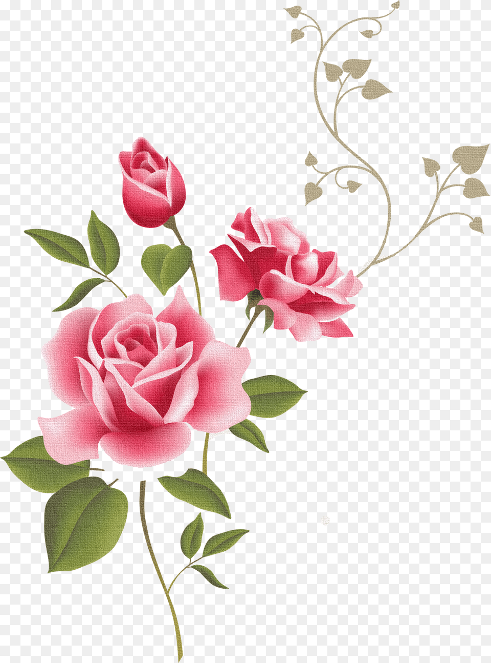 Transparent Rose Outline Clip Art Borders Flowers Rose, Flower, Graphics, Plant, Floral Design Png Image