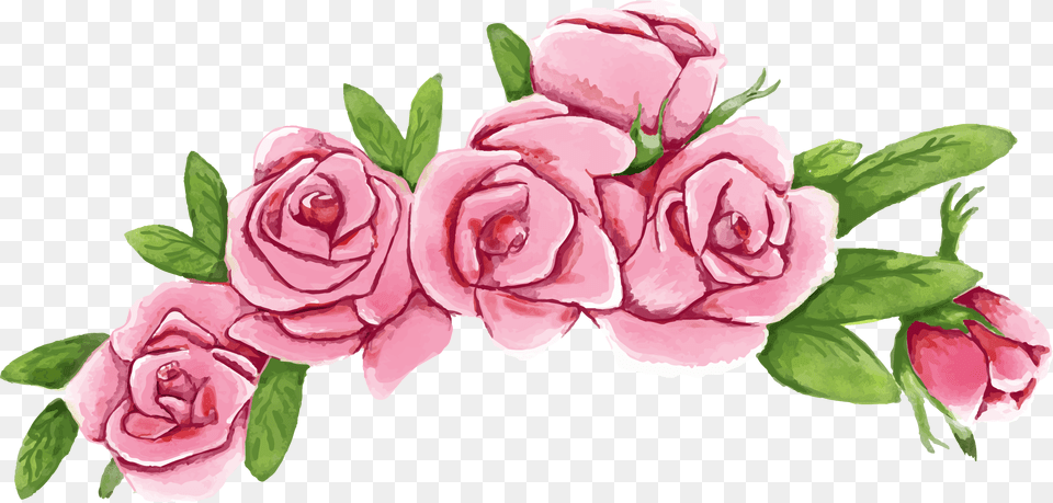 Transparent Rose Vector Vector Flower Crown, Plant, Pattern, Art, Graphics Png Image