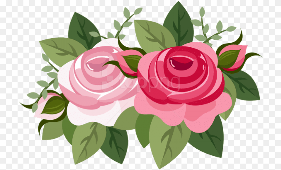 Transparent Rose Vine Hybrid Tea Rose, Art, Floral Design, Flower, Graphics Png