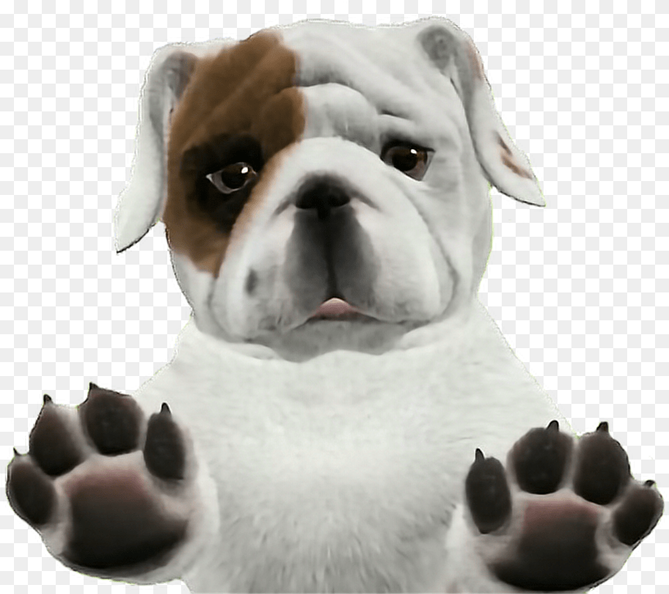 Running Bulldog Clipart Background Bulldog Animal, Canine, Dog, Mammal Free Transparent Png