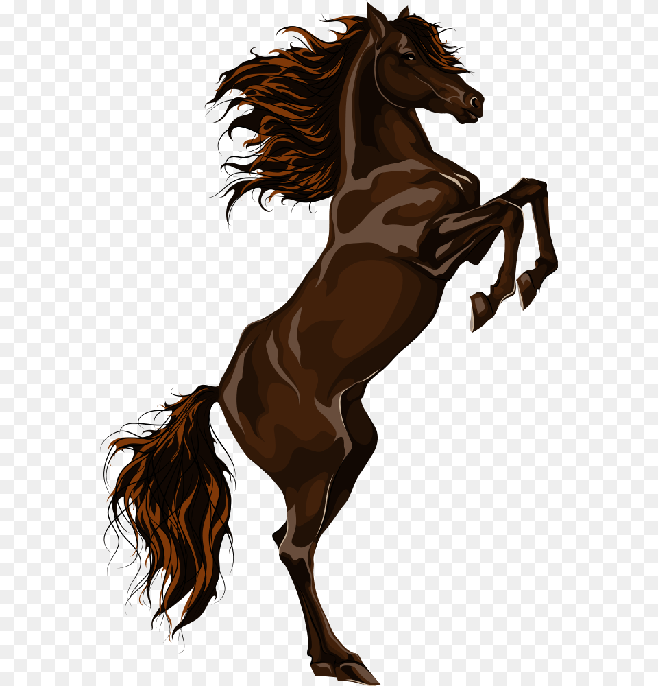 Transparent Running Horse Clipart Black Horse, Animal, Colt Horse, Mammal, Adult Png