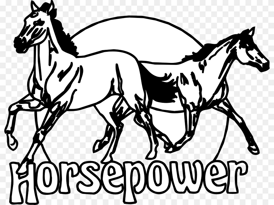 Transparent Running Horse Clipart Horsepower Clipart, Stencil, Animal, Colt Horse, Mammal Free Png Download