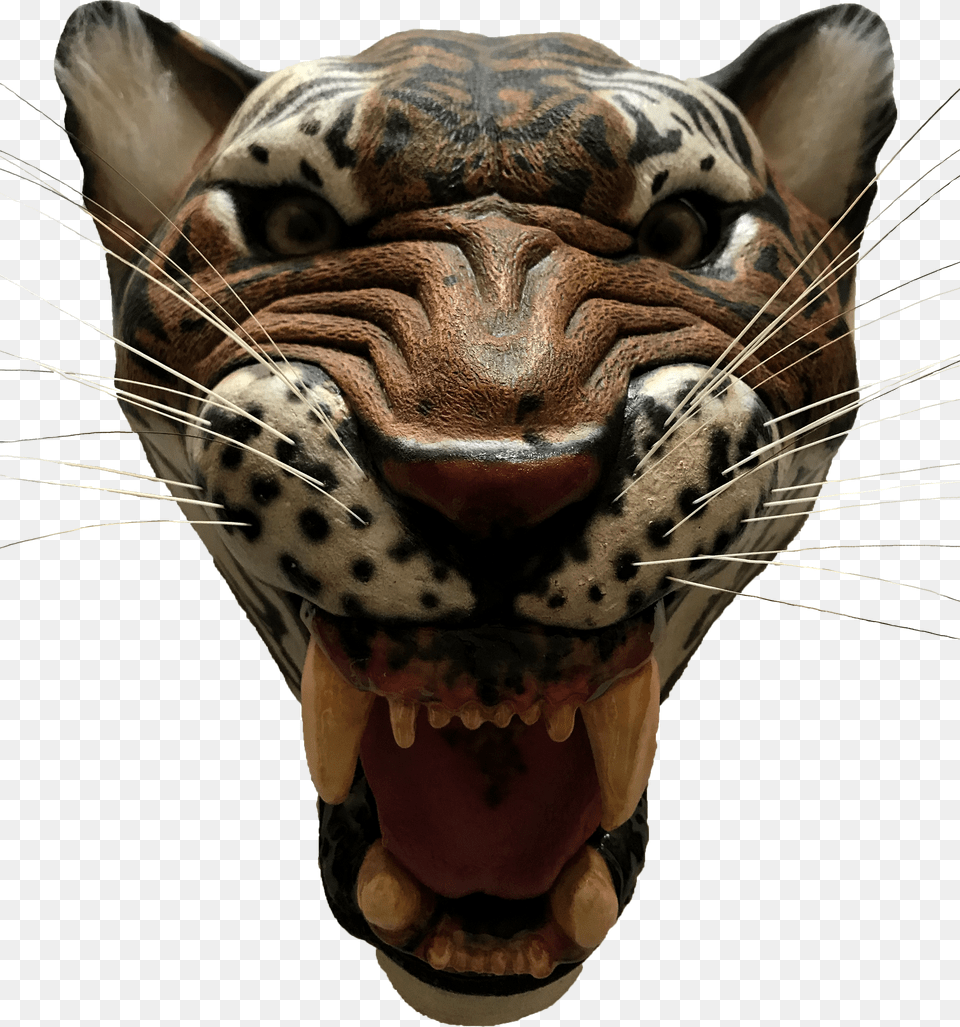 Transparent Saber Tooth Tiger Tiger, Bottle, Alcohol, Beer, Beverage Free Png