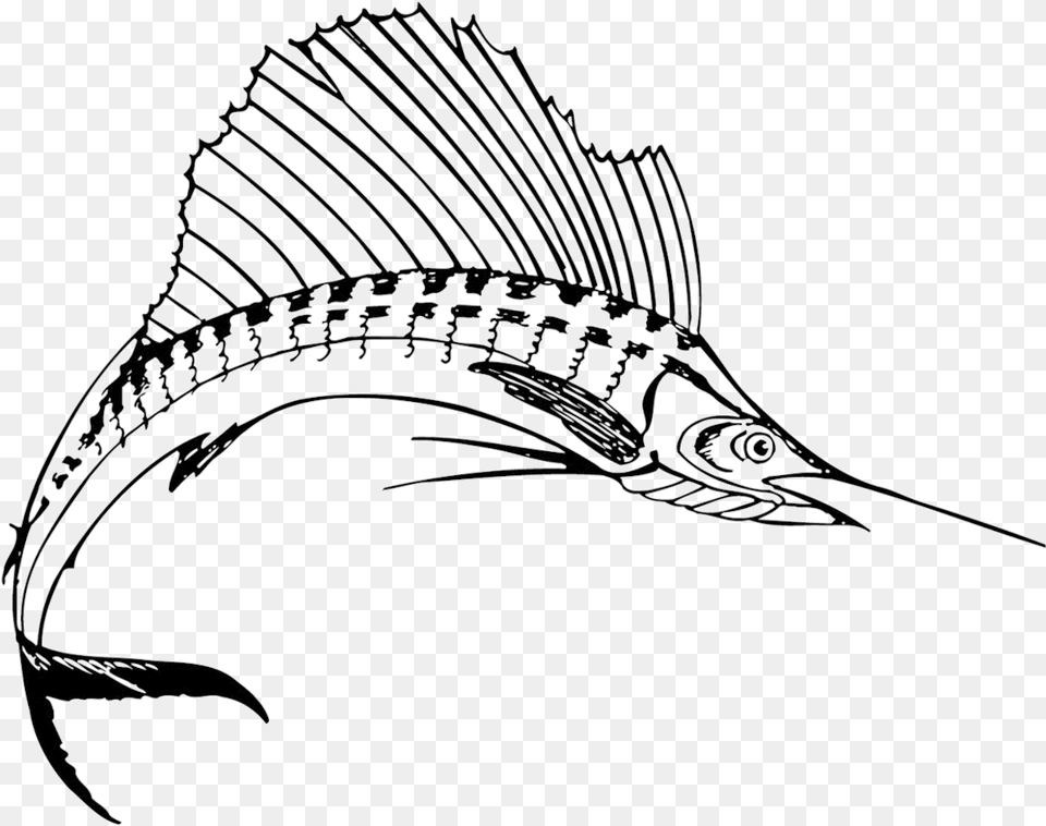 Sailfish Sailfish, Animal, Sea Life, Fish, Swordfish Free Transparent Png