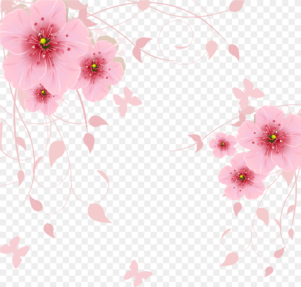 Sakura Flower Floral Background Flower Pink, Plant, Cherry Blossom, Petal, Animal Free Transparent Png