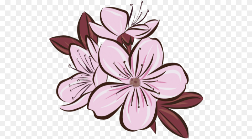 Transparent Sakura Flower Sticker Of Japan Flower, Plant, Cherry Blossom, Chandelier, Lamp Png Image
