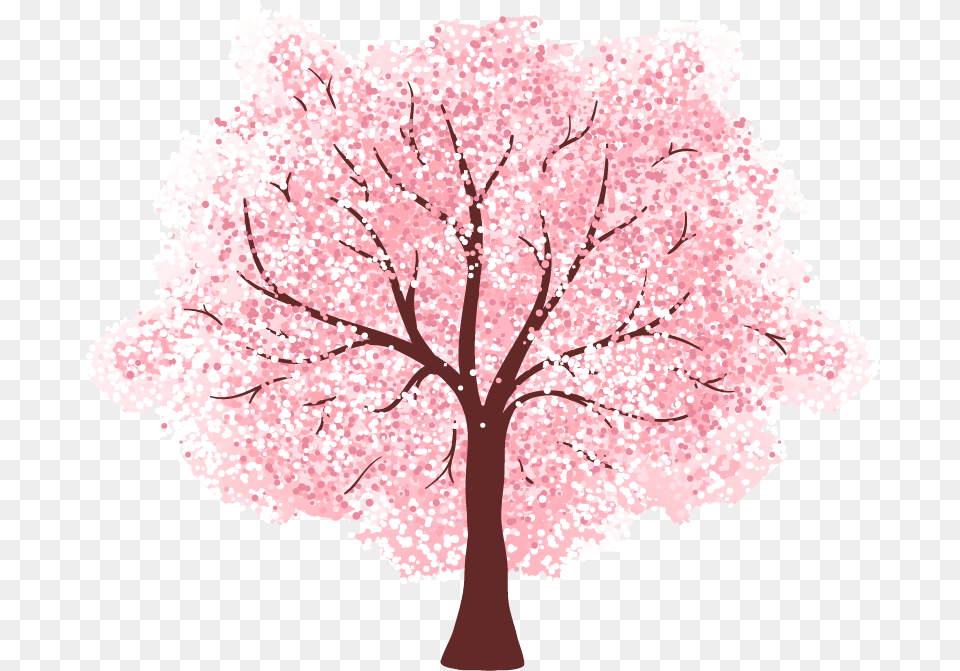 Transparent Sakura Tree, Flower, Plant, Cherry Blossom Free Png
