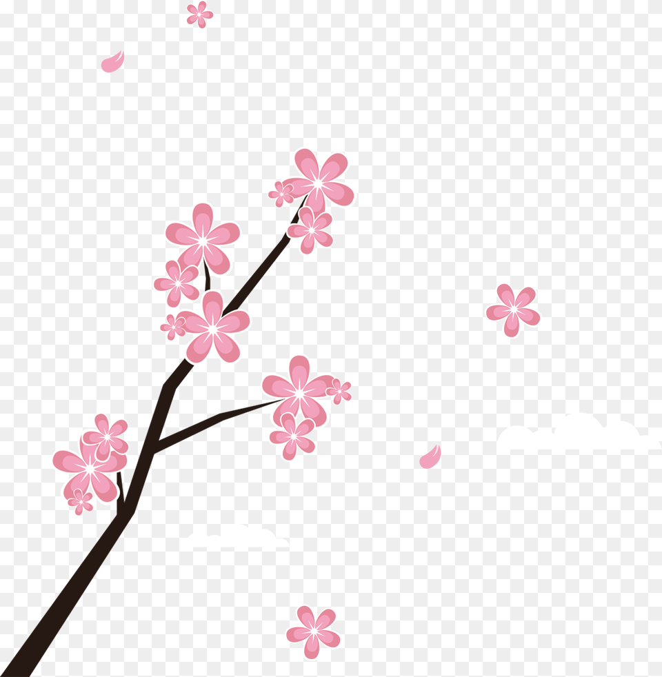 Transparent Sakura Tree, Flower, Plant, Petal, Cherry Blossom Png Image