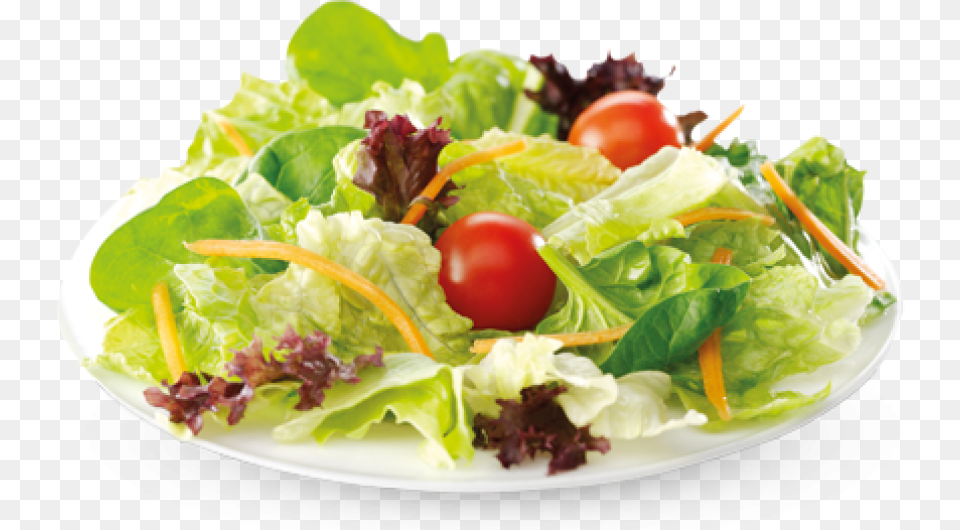 Transparent Salad, Food, Food Presentation, Lettuce, Lunch Free Png Download