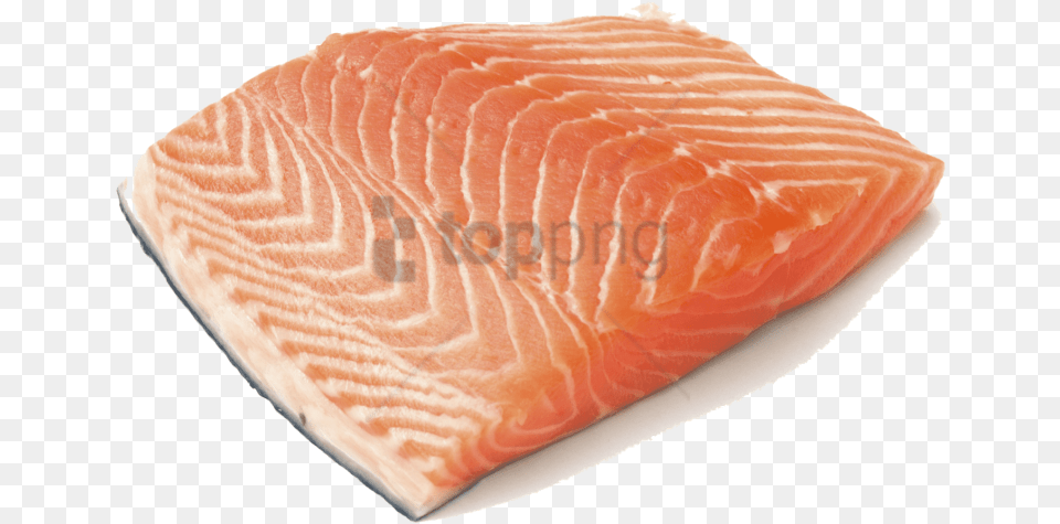 Salmon Clipart Black And White Salmon With No Background, Citrus Fruit, Food, Fruit, Orange Free Transparent Png
