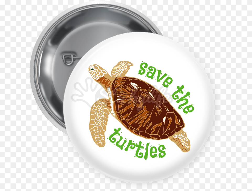 Transparent Save Button Save The Turtles Pin, Plate, Animal, Reptile, Sea Life Free Png Download