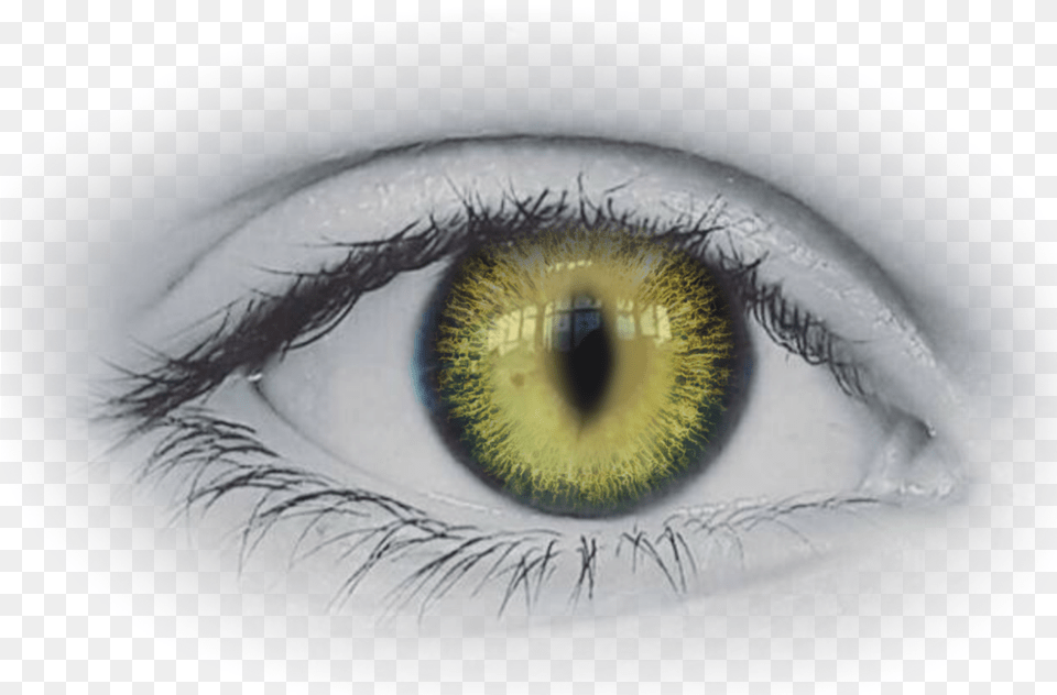 Transparent Scary Eye Clipart Clip Art, Person, Contact Lens Free Png Download