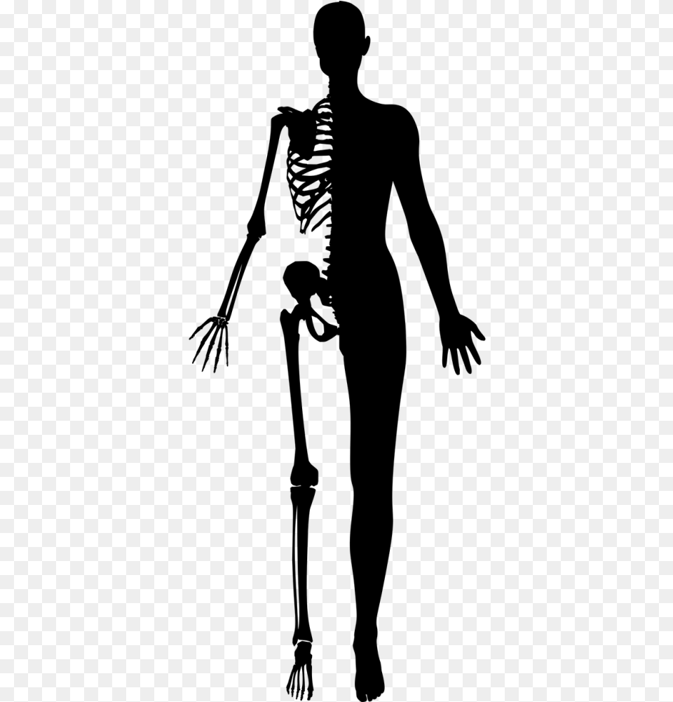 Transparent Scary Girl Half Human Half Skeleton, Gray Png Image