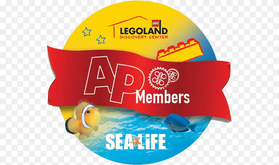 Transparent Sea Life Sticker, Animal, Fish, Sea Life, Cap Png Image