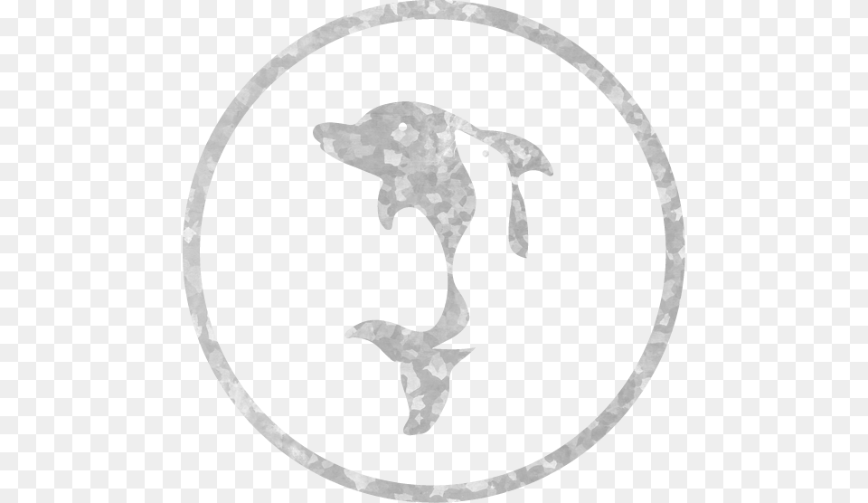 Sea Lion Best Dolphin Logo, Texture Free Transparent Png