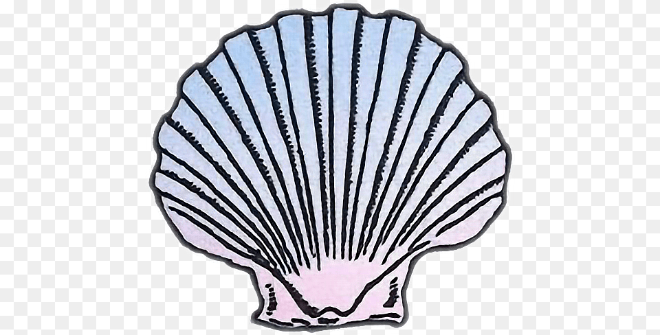 Transparent Sea Shell Clip Art, Animal, Seashell, Seafood, Sea Life Free Png