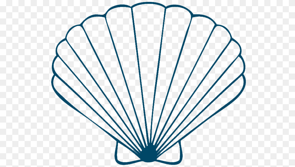 Transparent Sea Shells Draw A Seashell, Animal, Clam, Food, Invertebrate Png Image