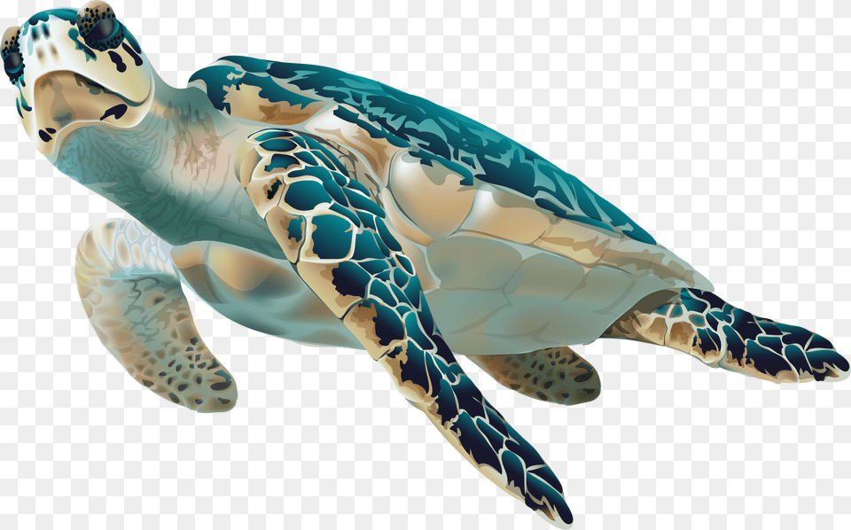 Sea Turtle Free Transparent Png