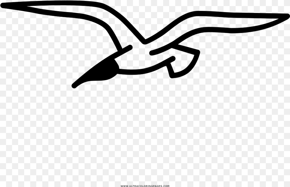 Transparent Seagull Cmo Dibujar A Una Gaviota, Gray Free Png Download