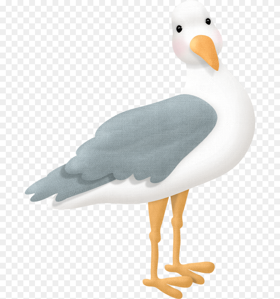 Transparent Seagulls Clipart Dibujos De Gaviotas, Animal, Beak, Bird, Seagull Png