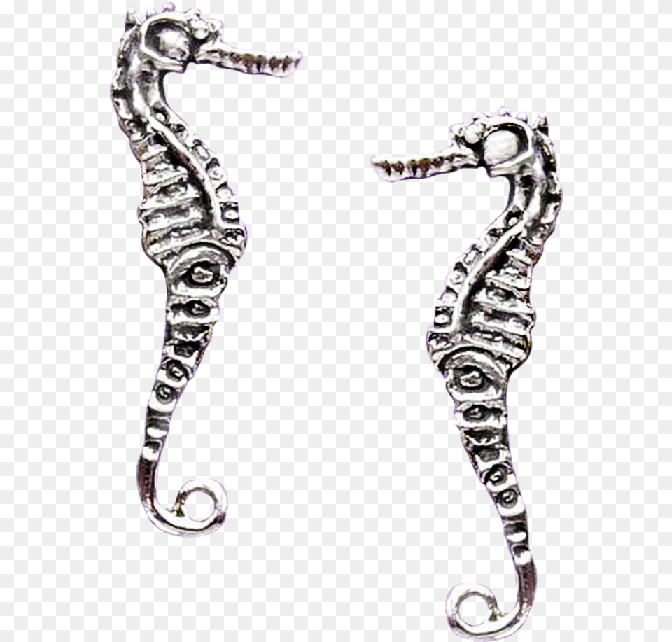 Transparent Seahorse Northern Seahorse, Animal, Sea Life, Mammal Png Image