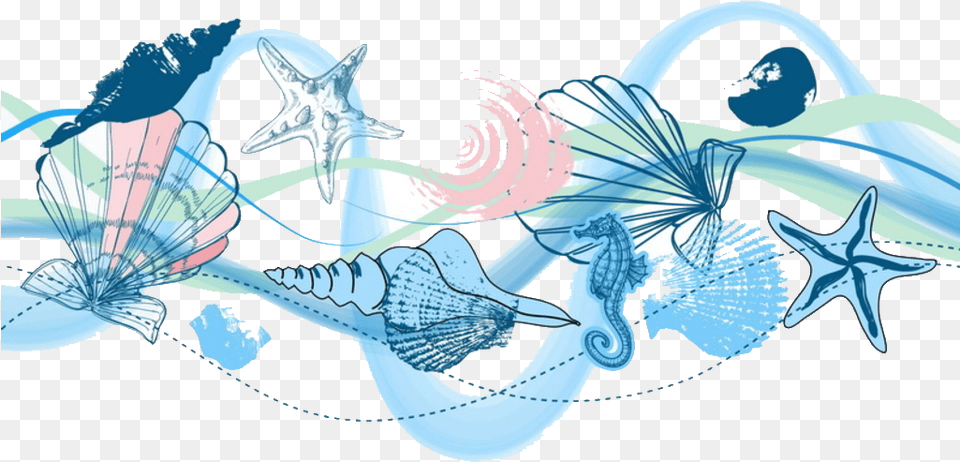 Seashell Clipart Graphic Design, Art, Graphics, Animal, Dinosaur Free Transparent Png
