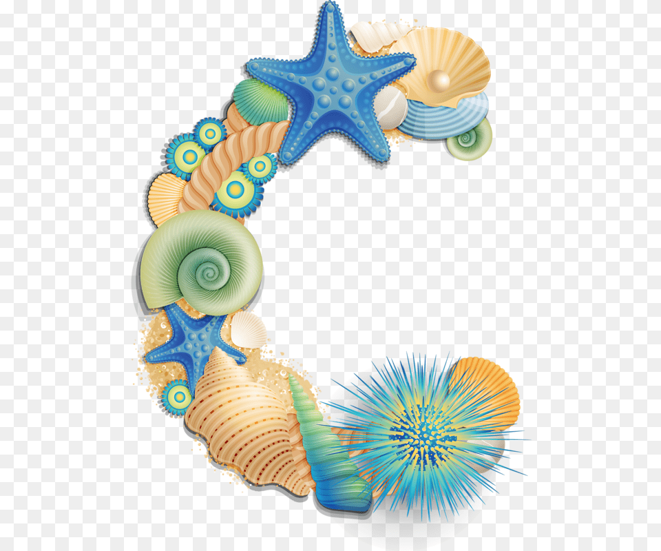 Transparent Seashell Clipart Letter M Sea Shell, Animal, Invertebrate, Sea Life, Clam Png