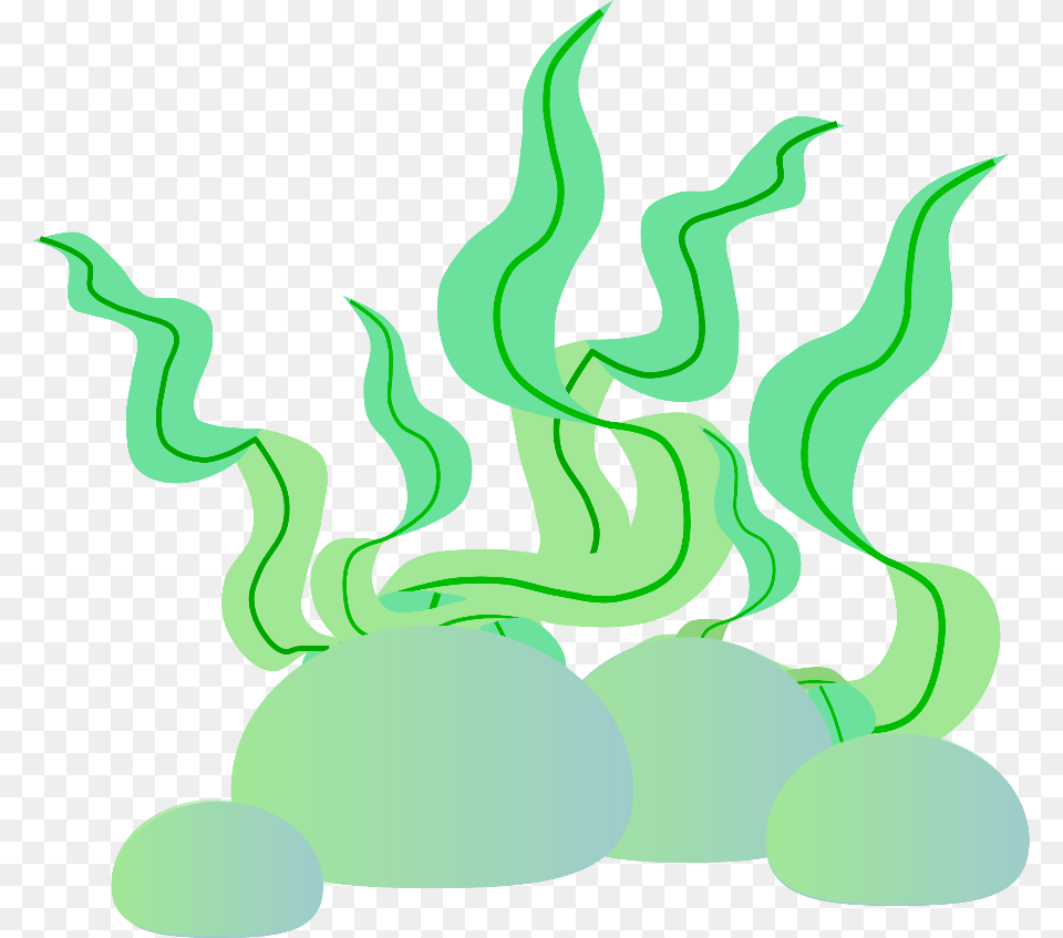 Transparent Seaweed Clipart Coisas Fundo Do Mar, Green, Art, Graphics, Light Png