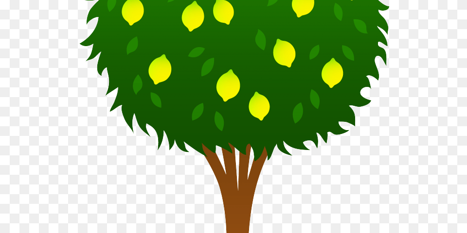 Transparent Seed Clipart Lemon Tree Drawing Easy, Green, Leaf, Plant, Vegetation Free Png Download