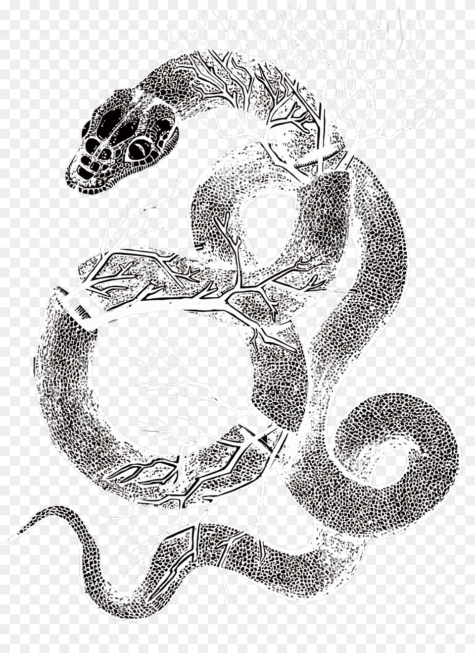 Transparent Serpent Clipart Visual Arts, Art, Drawing Png Image