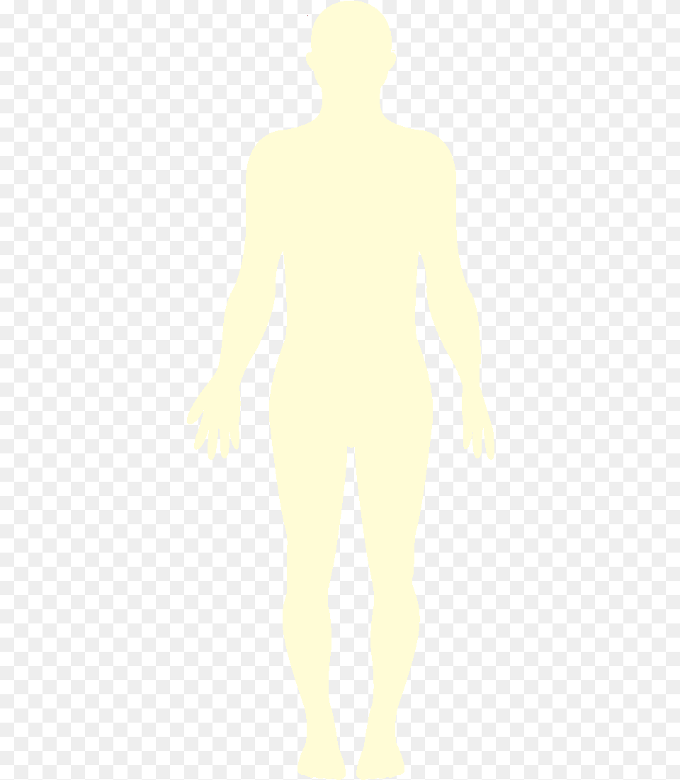 Transparent Shadow Person Illustration, Silhouette, Adult, Male, Man Free Png Download