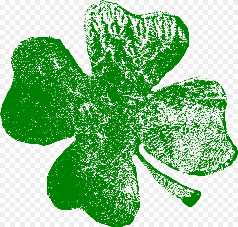 Transparent Shamrock Border 6 Mb Image Leaf, Plant, Accessories, Moss Free Png Download