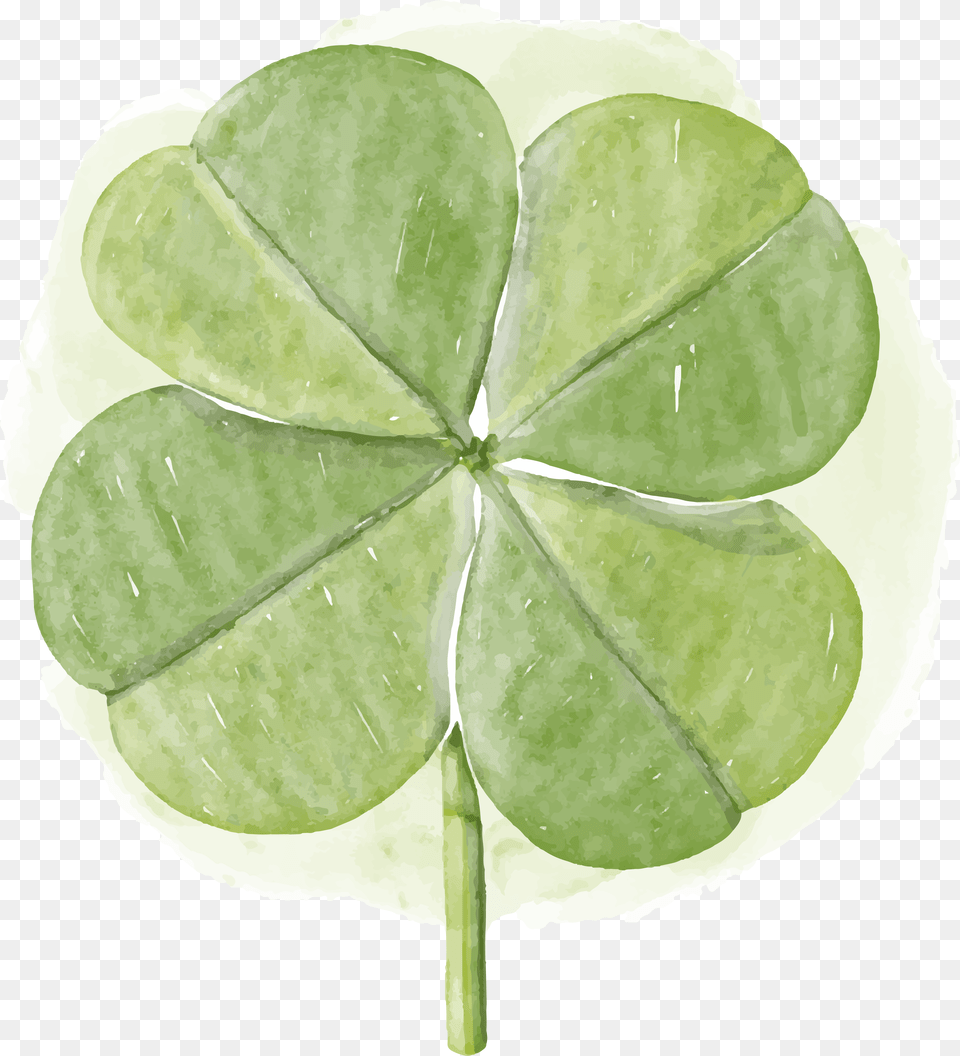 Transparent Shamrock Outline Luck, Leaf, Plant Free Png