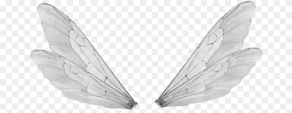 Transparent Shared Transparent Fairy Wings, Animal, Bee, Insect, Invertebrate Free Png