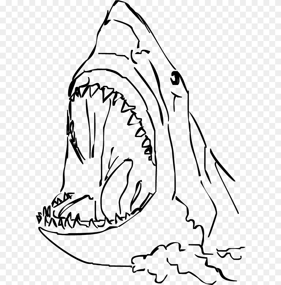 Transparent Shark Bite Clipart Draw A Shark Head, Gray Png Image