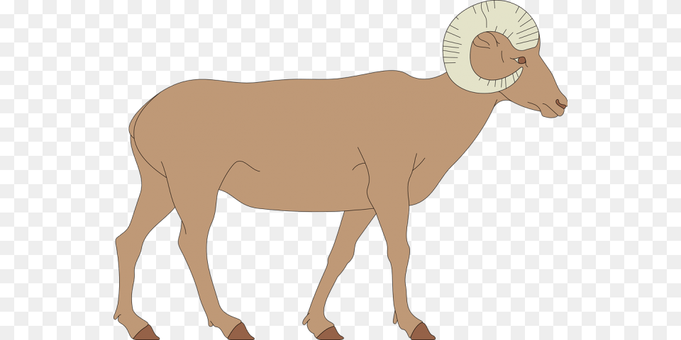 Sheep Clipart Bighorn Sheep Clipart, Adult, Male, Man, Person Free Transparent Png