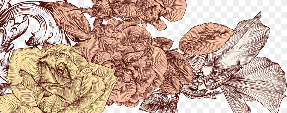 Transparent Shivaji Maharaj Illustration, Art, Pattern, Floral Design, Graphics Free Png Download