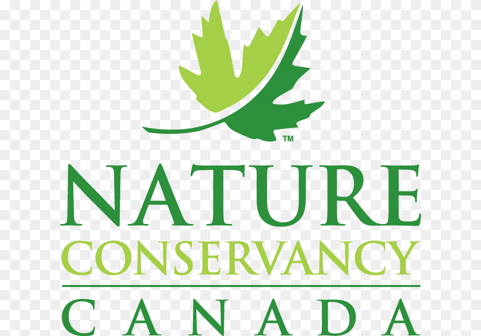 Shop Now Button Nature Conservancy Of Canada Nova Scotia, Leaf, Plant, Herbal, Herbs Free Transparent Png