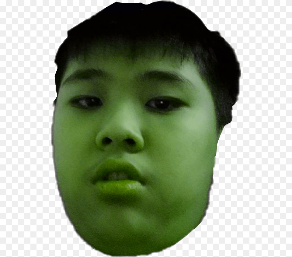 Shrek Head Shrek Boy, Face, Person, Photography, Portrait Free Transparent Png